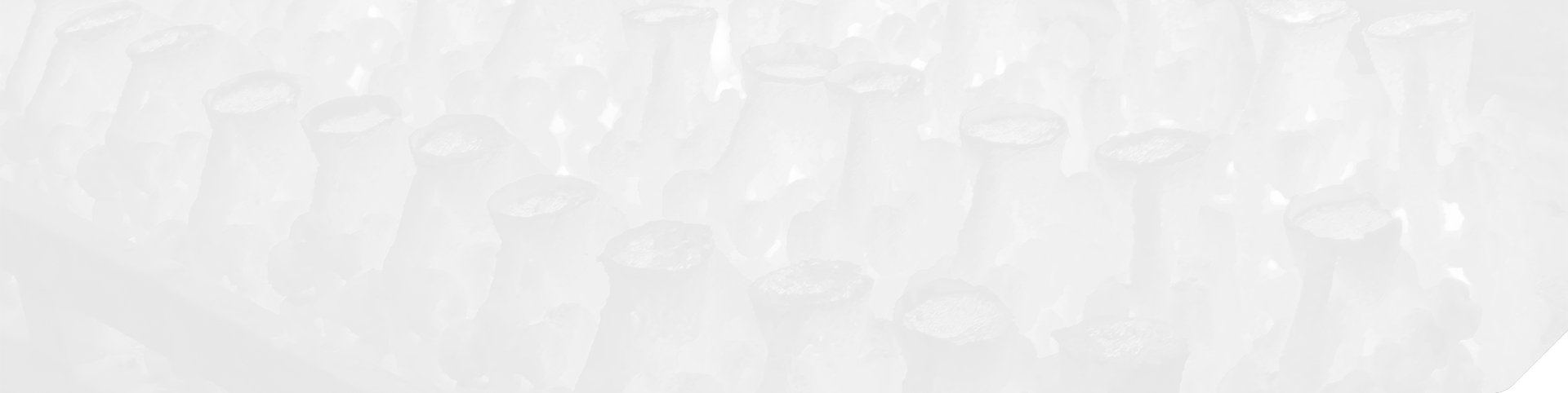 解決方案